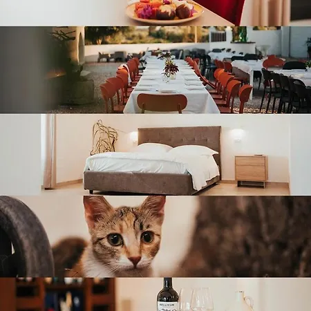 Luxery Triglie *